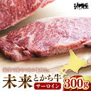 【ふるさと納税】未来とかち 牛 サーロイン 300g 牛肉 肉 お肉 国産 国産牛 北海道産 人気 送料無料 北海道 十勝 芽室町