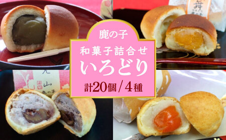 【老舗の菓子屋 鹿の子】和菓子 詰め合わせ「いろどり」4種 20個【有限会社 御菓子司 鹿の子】 [ABAC013]
