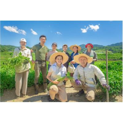 ふるさと納税 河南町 【12〜14種類】河南町新鮮アジア野菜「大満足セット」 |  | 02