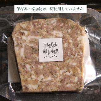 【京都亀岡 ジビエ】天然 イノシシ肉 の テリーヌ2個セット 【こだわり抜いた至極の味/プレゼントや自分へのご褒美に】ふるさと納税限定品 ※着日指定不可 ※2024年1月上旬～4月下旬頃に順次発送予定