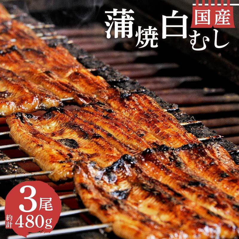 【ふるさと納税】 うなぎ 鰻 蒲焼 国産 2尾 白むし 1尾 計480g セット カット 真空 小分け 丑の日 沼津 うなよし