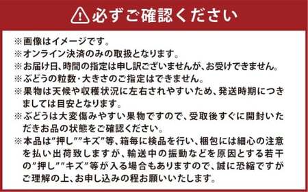 種無しぶどう詰合せ2房（合計1.2kg以上） シャインマスカット ニューピオーネ ぶどう 葡萄 ブドウ 果物 フルーツ 詰め合わせ セット 岡山県 倉敷市【2026年9月上旬～10月上旬まで順次発送予