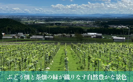 水沢（すいざわ）ワイン 日本有数のかぶせ茶の特産地で生まれた美味しいCUVEE MOMIJI （キュベ モミジ）アッサンブラージュルージュ (2025) 750ml（限定22本お早めに）【ワイン 国産