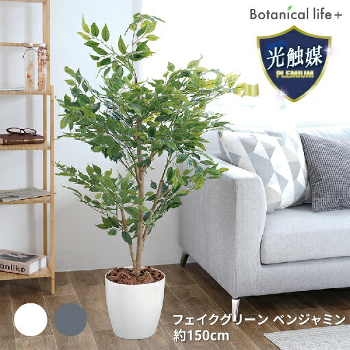 【ふるさと納税】フェイクグリーン ベンジャミン 150cm 光触媒加工 鉢付き インテリア 抗菌 消臭 愛知県 豊橋市 送料無料 58000円
