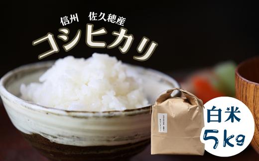 【令和7年産】炊きあがりのつやと香りが良く、うま味も強い　コシヒカリ　白米５kg　佐久穂とさや農園［ST-115］