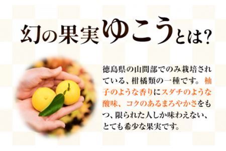 ゆこう の 酒 リキュール 8度 720ml 1本 幻の果実 柚香 株式会社高鉾建設 酒販事業部 《30日以内に出荷予定(土日祝除く)》 徳島県 上勝町 お酒 アルコール 果汁 炭酸割り ロック 国産