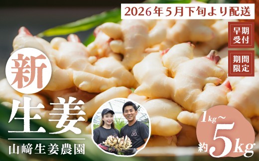 
                  早期受付 期間限定 みずみずしさがたまらない 新生姜 1kg 2kg 3kg 4kg 5kg【2026年5月下旬～9月上旬配送】高知県 高知 四万十市 四万十 しまんと 農作物 特産 しょうが 生姜 ショウガ 野菜 旬 新鮮 国産 先行 予約 ジンジャー
                