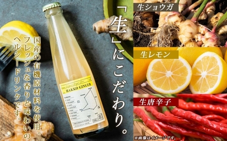 北海道 自家製 ジンジャービア 200ml×6本 HAKKO GINGER 発酵 ジンジャー ビール 生姜 レモン 辛口 ノンアルコール 炭酸 ヘルシー 野菜飲料 野菜ジュース 飲料類 炭酸飲料 
