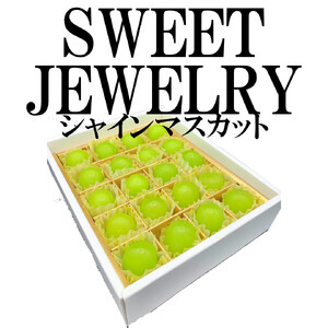 ＜2026年発送先行予約＞山梨県南アルプス市産 シャインマスカット 粒ギフト SWEET JEWELRY ALPAH014