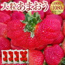 【ふるさと納税】大粒あまおう 約250～270g×4パック 合計約1000～1080g あまおう いちご イチゴ 苺 ストロベリー ベリー フルーツ 果物 春 旬 九州 国産 福岡県産 送料無料【2025年2月上旬～4月上旬発送予定】