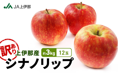 訳あり りんご 長野 リンゴ シナノリップ 約3kg （12玉） 産地直送  フルーツ 果物 デザート おやつ 林檎 旬 信州 長野県 長野県産 駒ヶ根市 上伊那産