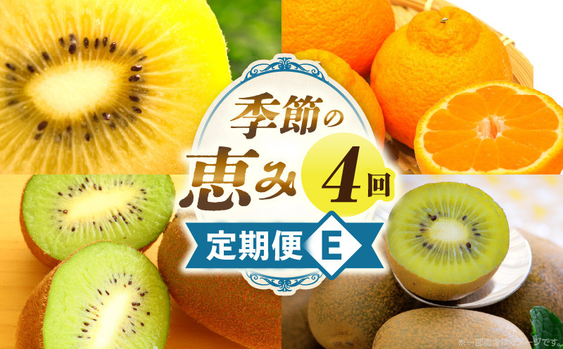 
            季節の恵み4回定期便E_mk165-t029
          