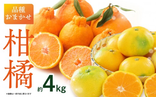 
                  品種おまかせ！柑橘（4kg）＜配送不可：北海道・沖縄・離島＞ ミカン みかん デコポン 柑橘 おまかせ 旬 フルーツ 果物 福岡県 八女市
                