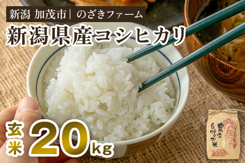 
            【令和7年産新米先行予約】新潟県産コシヒカリ 玄米20kg（20kg×1袋）（従来品種） 《9月下旬から順次出荷》 新潟米 お米 こめ コメ ライス ご飯 加茂市 のざきファーム
          