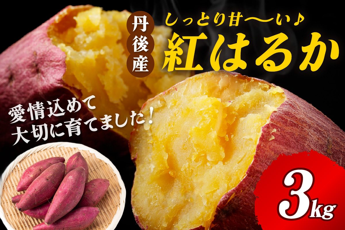 【先行予約】丹後産　さつまいも　紅はるか3kg　2027年3月中旬～配送　お野菜 野菜 正規品 ふるさと納税 さつまいも ふるさと納税 紅はるか べにはるか 甘い　AM00746_04