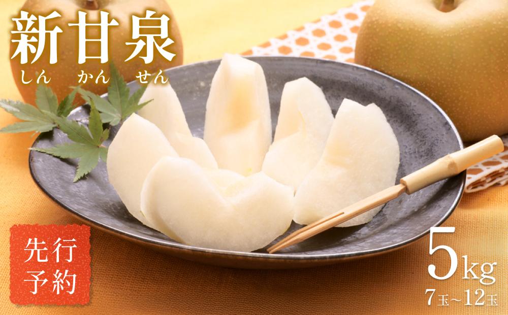 
                  【先行予約】中野農園 梨 ”新甘泉” 5kg箱｜鳥取 岩美 梨 なし ナシ  赤梨 果物 フルーツ 常温 ※お届けは2026年8月下旬以降【41021】
                