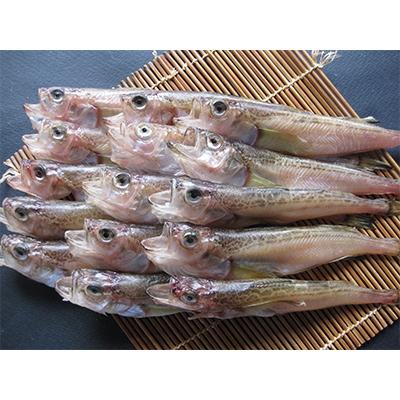ふるさと納税 宮津市 ハタハタ(中)　干物　一夜干し　450g×2箱