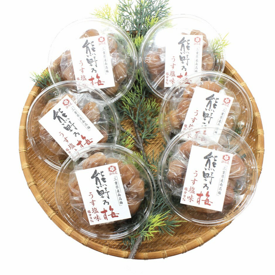 【ふるさと納税】 梅干し 熊野乃梅 うす塩 小分け 6パックセット 160g×6 三重 熊野市