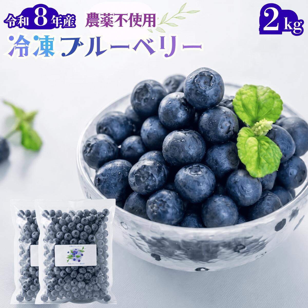 【ふるさと納税】令和8年産 丹波市産 ブルーベリー 冷凍 2kg 超大粒 無農薬 有機栽培 ひょうご安心ブランド 果物 フルーツ くだもの ぶるーべりー 産地直送 お取り寄せ 兵庫県 丹波市