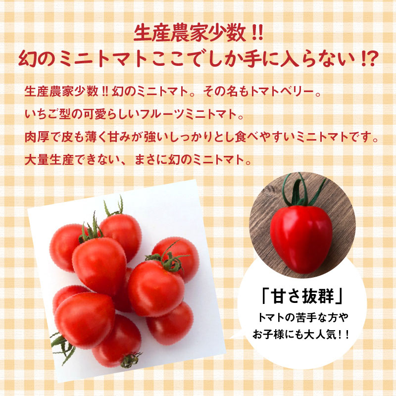 【2026年度予約分】【人気No.1セット】ファンにならずにいられない ファーストトマト＆トマトベリー 計約1.4kｇ（3月～5月で発送） 野菜ソムリエサミット 金賞 受賞 長田農園 産地直送 トマト