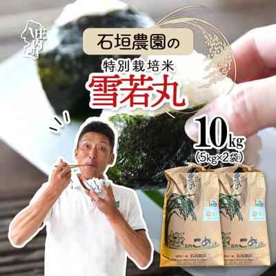 ふるさと納税 庄内町 石垣農園の特別栽培米 雪若丸 10kg 5kg×2袋 令和7年産 2025年産 ブランド米