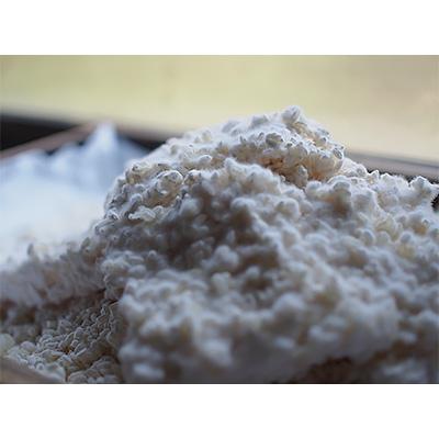 ふるさと納税 玉名市 【熊本県産】生米麹2kg(1kg×2袋)