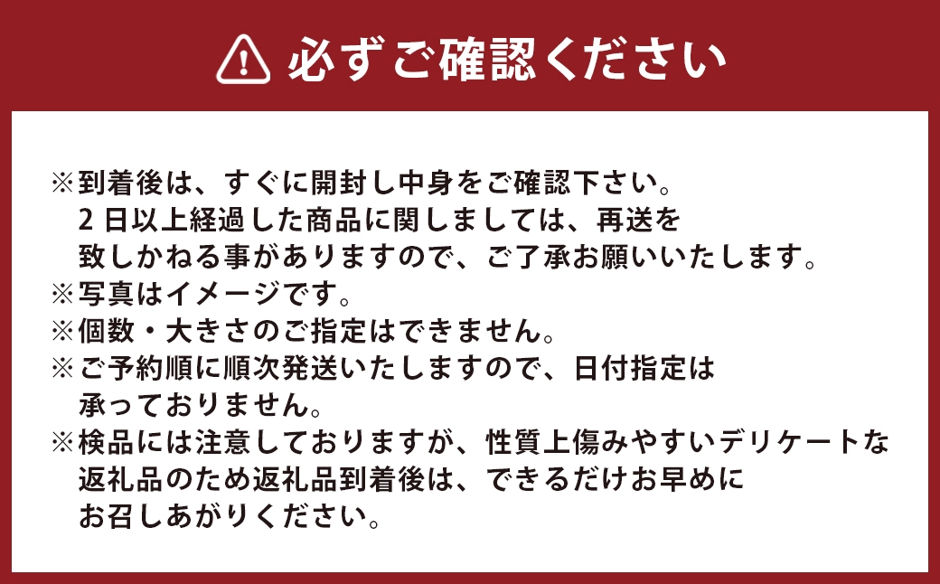 温州みかん約10kg2Sから2Lサイズ