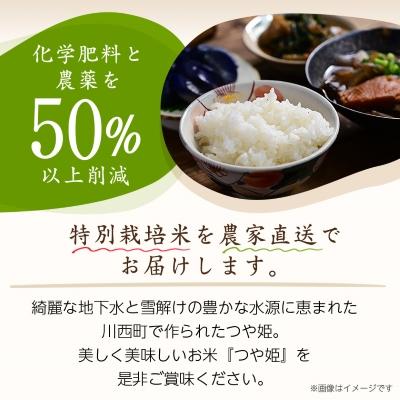ふるさと納税 川西町 令和7年産　山形県産　つや姫　10kg(5kg×2袋) |  | 01