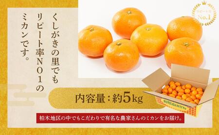 ［先行予約］［2025年11月初旬頃から順次発送予定］ 和歌山県産温州みかん 約5kg（40個～60個）秀品 こだわり農家厳選！［KG31］