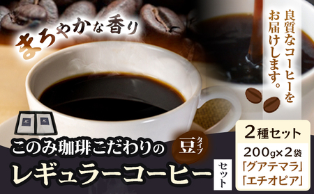 コーヒー 珈琲 珈琲豆 レギュラーコーヒー 豆タイプ セット 2種 このみ珈琲《30日以内に発送予定(土日祝除く)》ギフト 福岡県 鞍手町 送料無料
