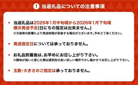 不知火 先行予約 冨田さん家の不知火 ハウス栽培 5kg しらぬい みかん 蜜柑 柑橘 常温 熊本県産 国産 九州 熊本県 宇城市 訳あり 家庭用 不揃い デコなし 傷あり B級品 SDGs 2026