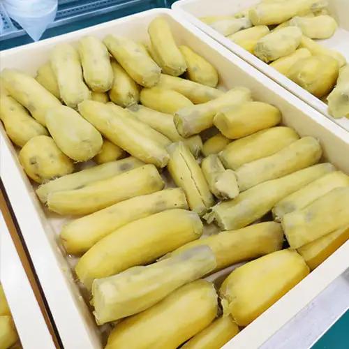 坂東市産　干し芋　紅はるか（計740g/180g×3袋・100g×2袋） No.214