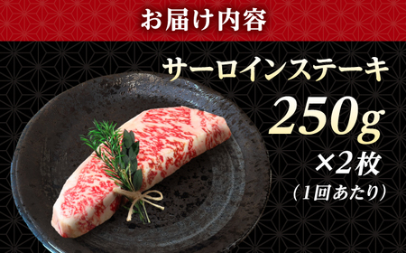 【全3回定期便】 長崎和牛 サーロイン ステーキ 250g×2 【KRAZY MEAT】 A5 A4 冷凍 和牛 肉 牛肉 BBQ[RCQ011]