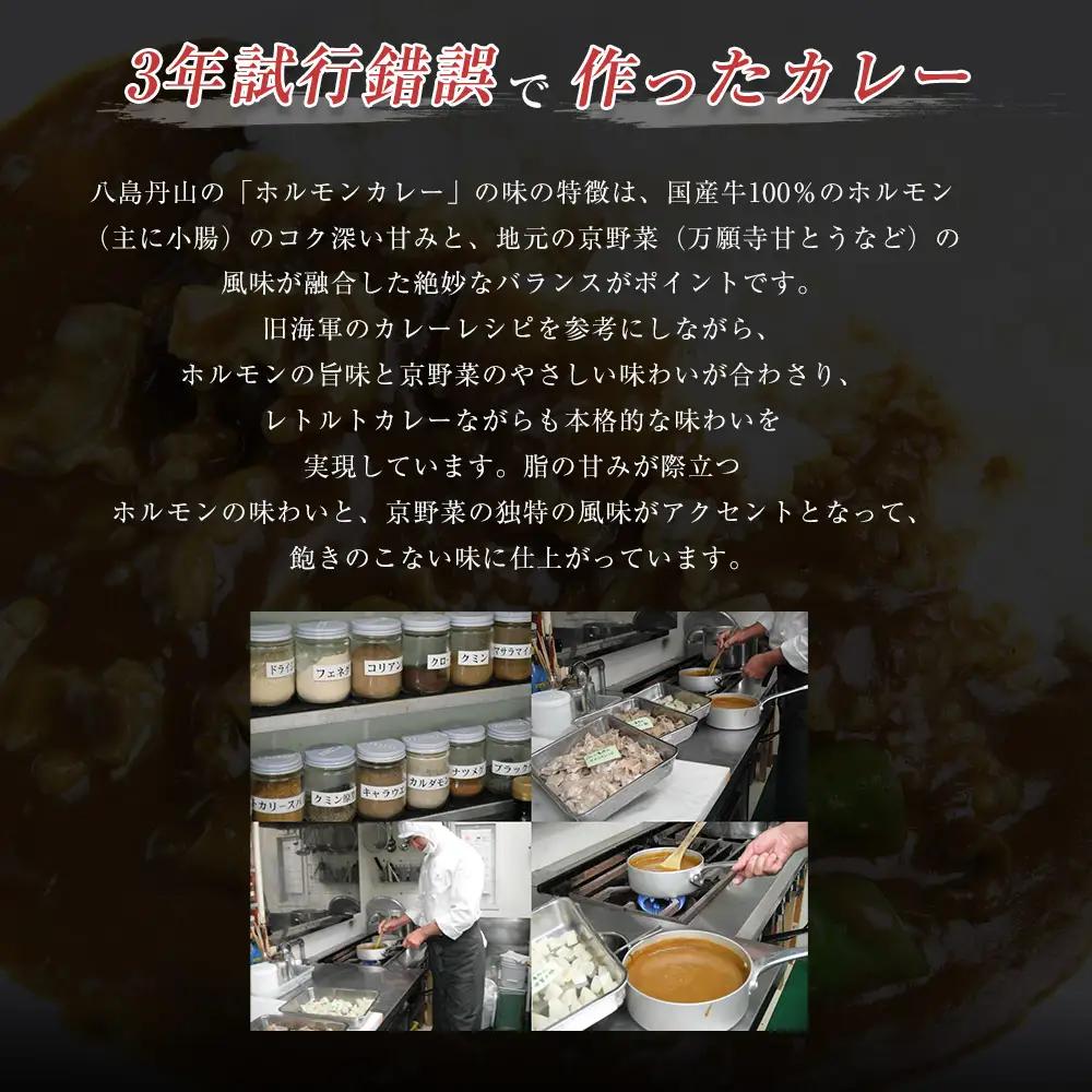 ホルモンカレー 5個 ： レトルトカレー ビーフカレー ご当地カレー