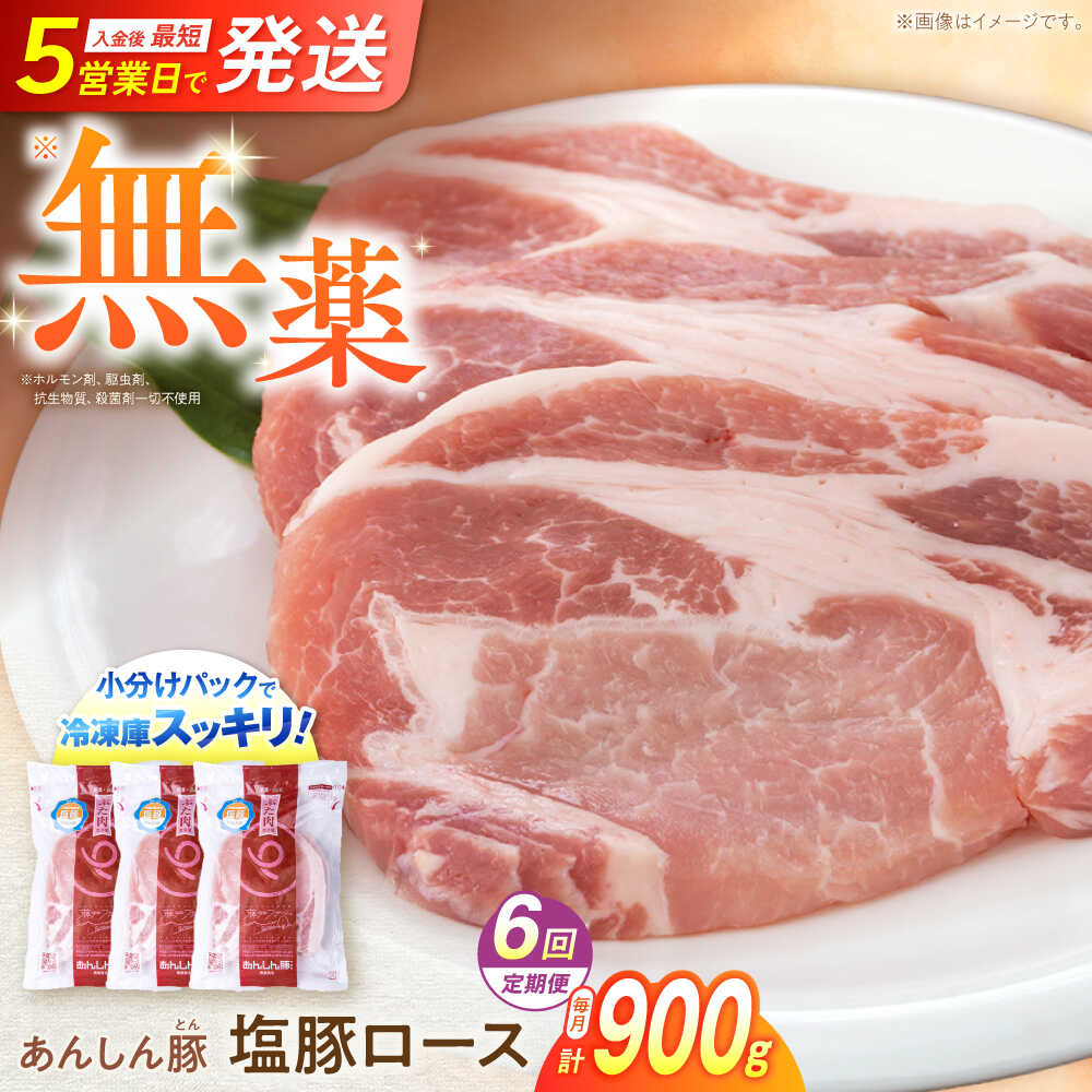 【ふるさと納税】【6回定期便】《金賞受賞》 塩豚ロース 900g 計5.4kg 豚肉 小分け 薄切り ロース 白川町 / 藤井ファーム[AWAF055]