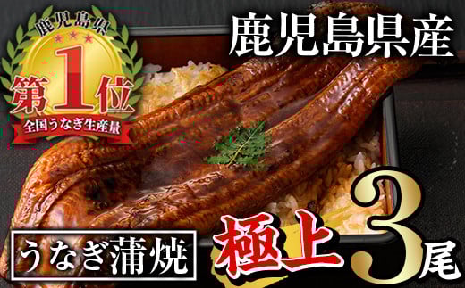 無投薬！鹿児島県産うなぎ蒲焼セット＜極上＞(計560g以上・ 185g以上×3尾) タレ・山椒付き 鰻 ウナギ 国産【西日本養鰻】A507-v01