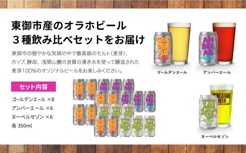 3種飲み比べ20本セット（ゴールデンエール、アンバーエール、ヌーベルセゾン）クラフトビール 飲み比べ