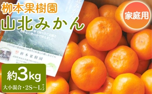 家庭用 柳本果樹園の山北みかん 3kg 大小混合(2S～L) - 果物 フルーツ 柑橘類 温州みかん ミカン 蜜柑 甘い おいしい 訳あり キズ 大小混合 期間限定 季節限定 数量限定 高知県 香南市 yg-0033