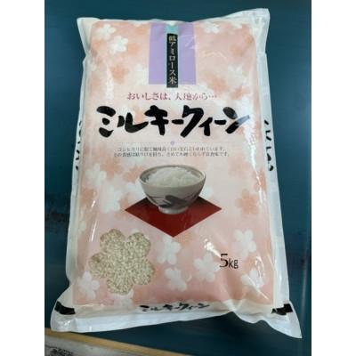 ふるさと納税 美咲町 岡山県産ミルキークイーン 5kg×2袋
