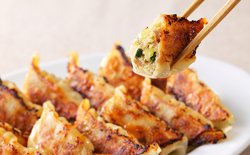 上士幌餃子 定期便 5ヵ月コース 5回 ぎょうざ ギョウザ 国産 北海道 十勝産SPF豚使用 冷凍生餃子 お取り寄せ