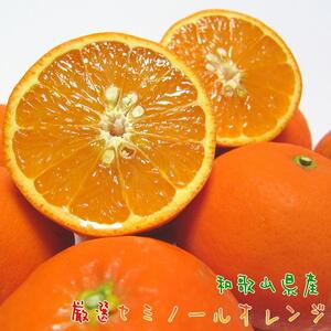 厳選 セミノールオレンジ 2kg【農家直送】【和歌山県産】【先行予約・2025年4月上旬～4月下旬発送】