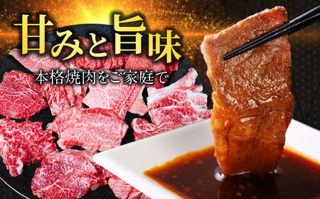 飛騨牛贅沢食べ比べ12種 飛騨牛 焼肉[ANBO028]