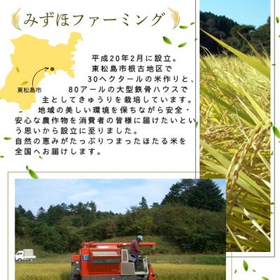 ふるさと納税 東松島市 【令和7年産米】ほたる米 ひとめぼれ 玄米 30kg 特別栽培米 宮城県産 |  | 03