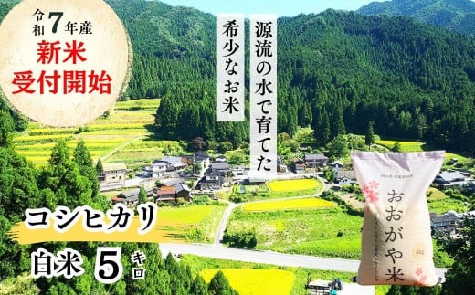 
            《令和7年産新米受付開始》白米 5kg 令和7年産 コシヒカリ 岡山 「おおがや米」生産組合 G-af-AEFA
          