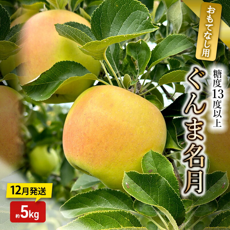 【ふるさと納税】りんご【12月発送】糖度13度以上 ぐんま名月 おもてなし品 約5kg【青森りんご】　お届け：2025年12月20日頃～2025年12月27日