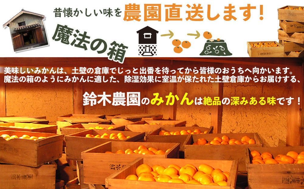 蔵出しみかん3kg SMLサイズお任せ【下津の蔵出しみかん】和歌山県鈴木農園より農園直送！｜蔵出しミカン 蔵出し蜜柑 蔵出しmikan 蔵出し下津みかん 蔵出ししもつみかん 蔵出し 冬眠みかん 贈答 