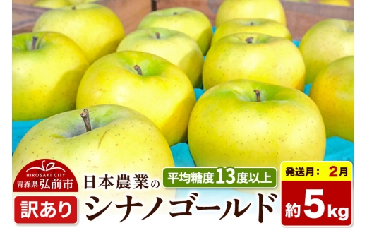 【27年2月発送】りんご シナノゴールド【訳あり】約5kg 平均糖度13度以上 青森県 弘前市 果物 フルーツ 林檎 リンゴ くだもの 不揃い 規格外 [先行受付 家庭用 産地直送 アップル 青森県 弘前市]