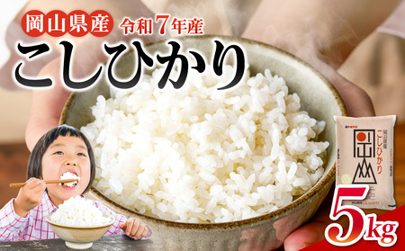 【令和7年産米】岡山県産 精米 こしひかり　5kg【米  配送 令和7年産 米 精米 ごはん 白米 国産米】
