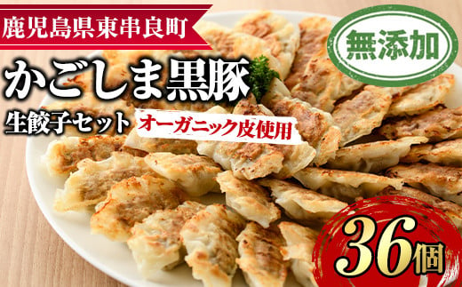 
【0125107a】オーガニック皮使用！鹿児島黒豚生餃子セット(12個入×3パック・計36個)黒豚 豚肉 ぶた肉 餃子 ギョウザ ぎょうざ 惣菜【鹿児島ますや】
