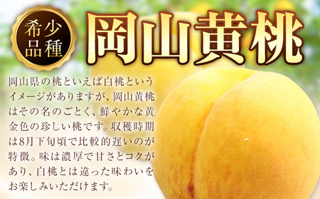 岡山の黄桃 約1kg《8月下旬-9月下旬頃出荷》｜桃桃桃桃桃桃